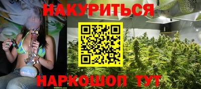 шишки Гусиноозёрск