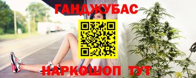 шишки Гусиноозёрск