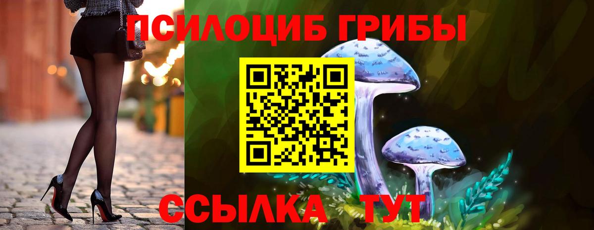 Мирный  Галлюциногенные грибы мухоморы  Галлюциногенные грибы GOLDEN TEACHER  Вход с VPN 